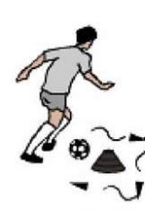 Tréninkový plán - LEDEN